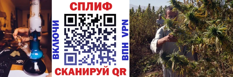 Хочу наркоту Богданович Бошки Шишки  Меф мяу мяу  Кокаин  Гашиш 