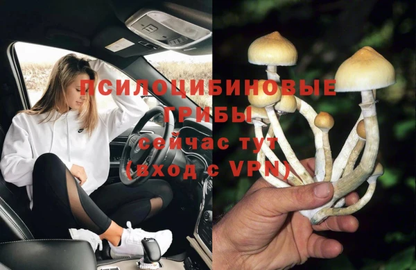 соль ск Аркадак