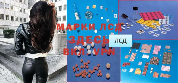 шишки Балахна