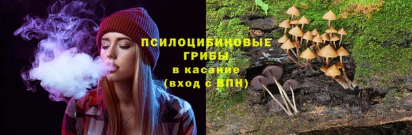 соль ск Аркадак