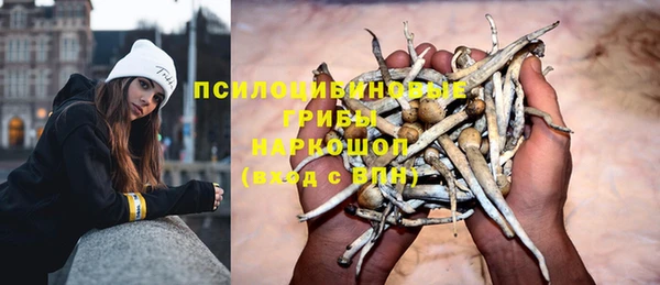 соль ск Аркадак