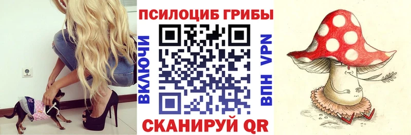 Псилоцибиновые грибы мицелий  omg сайт  Богданович 